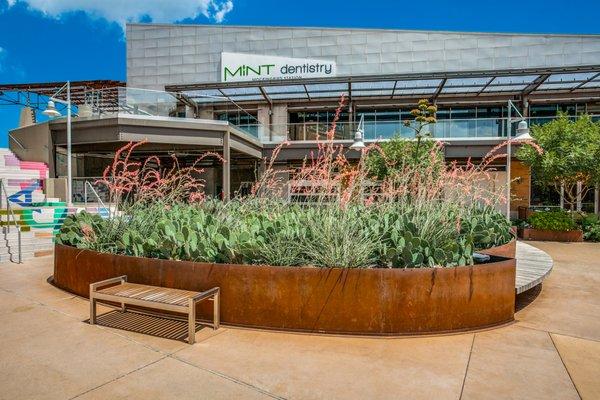 Mint Dentistry Orthodontics Mockingbird Station exterior