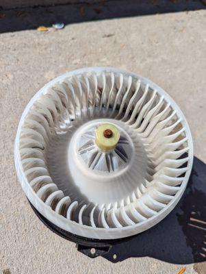 This is the condition of my blower after I cleaned it at the carwash for $2.