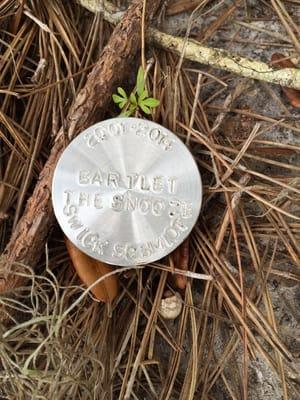 Site marker for a pet