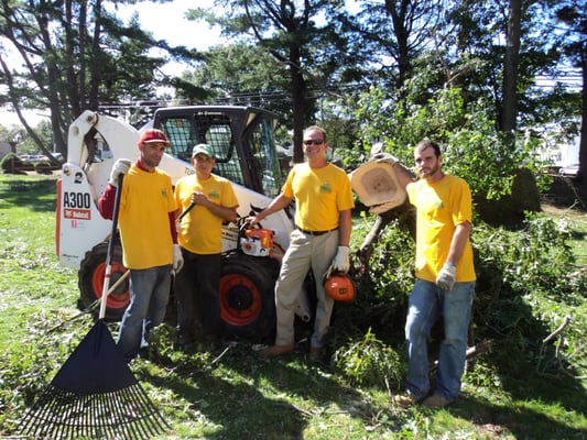 Storm Cleanups!