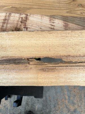 Wood rot