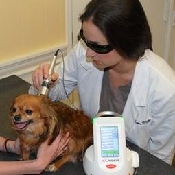 Laser Therapy