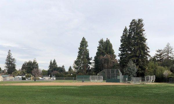 Baseball field