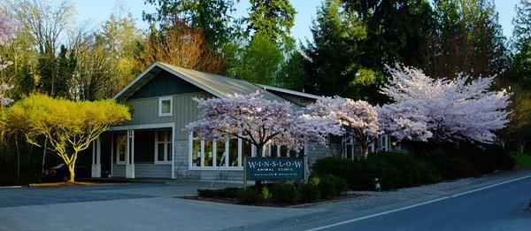 Winslow Animal Clinic     Established in 1996