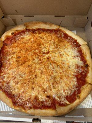 Large Plain pizza