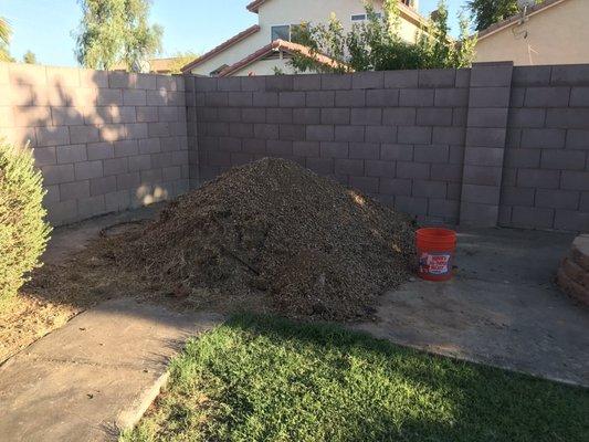 Before with 5 gallon bucket for scale