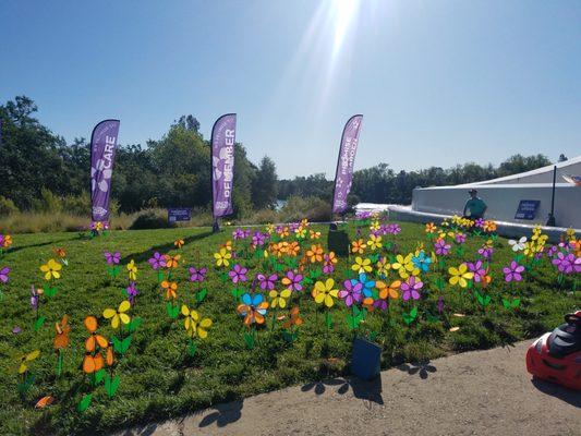 Proud Sponsor of Redding Walk to End Alzheimer's