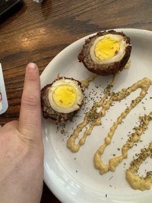 Scotch egg