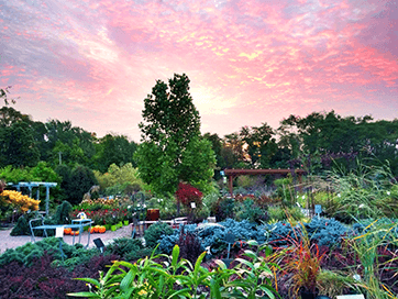 An awesome view of our garden center in full bloom!