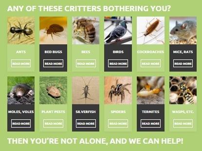 Any of these critters bothering you? - We can help!