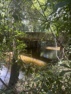 Bridge View From Woods