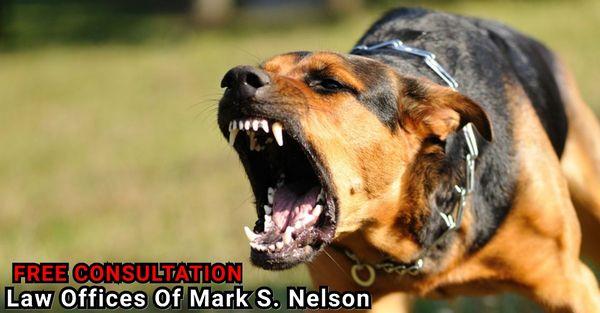 Law Offices Of Mark S Nelson