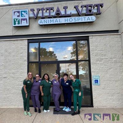 Vital Vet Animal Hospital