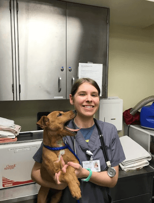 Vet Tech Programs!