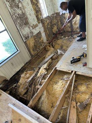 Termite damage in mobile home