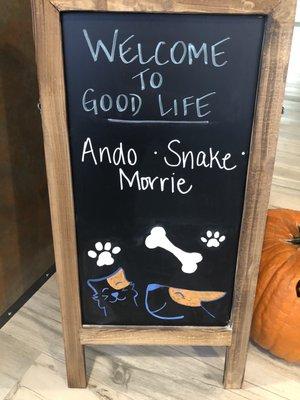 They even welcomed Snake! (My cat)