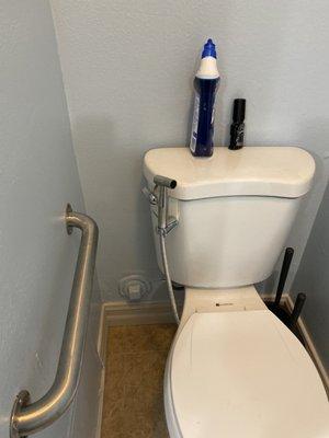 Bidet sprays installed