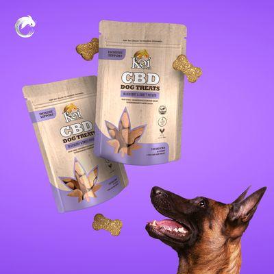 Koi CBD Immune Support Dog Treats