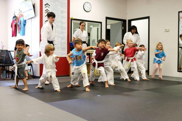 Pre-Karate Basic Techniques