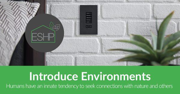 Learn more about biophilia in the workplace and at home, we can help you design the best way to bring nature into your home.