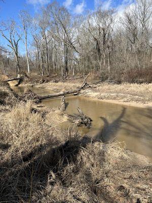 Pretty view of creek/river, just past the end of trail N