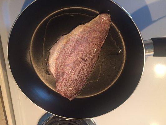 This is my red snapper filet. I'm going to fry it in a light oil.