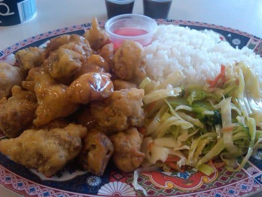 Sweet & Sour Chicken Lunch Special