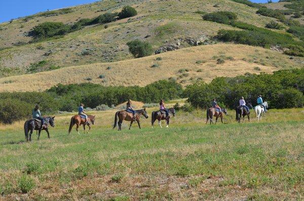 Horseback Trail Rides