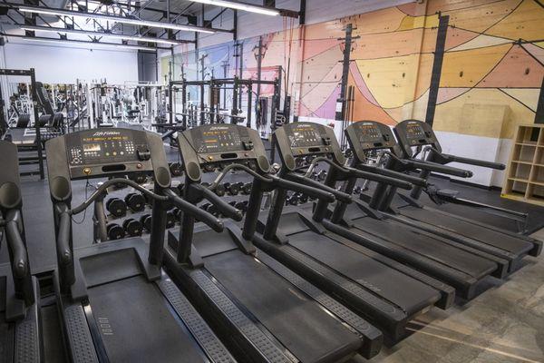 Cardio section featuring treadmills, Erg rower, ellipticals, Peloton bikes and stepmills.