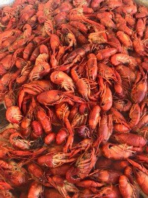 Boiled Crawfish available