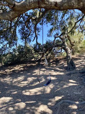 The swing along the trail