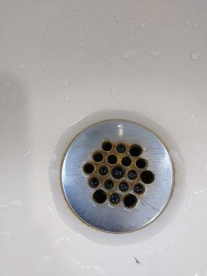 Dirty sink drain