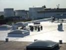 TPO Roof