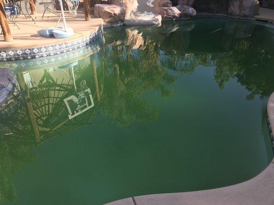 9/12 getting worse.  Serviced by desert blue pool.