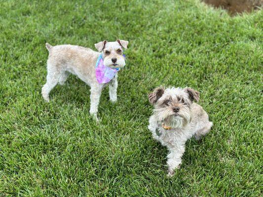 Gretta (left) and her older sister, Georgie.