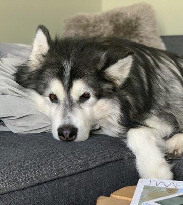 Allohak lounging after her Spa Day