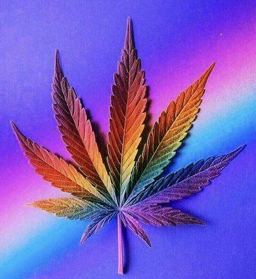 Rainbow Leaf