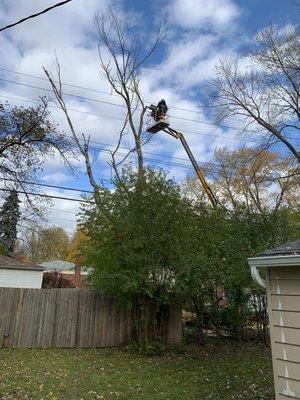 Backyard low impact aerial lifts