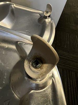 Drinking fountain