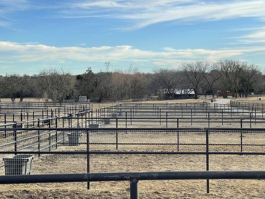 New individual turnout paddocks