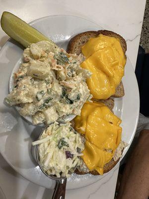 Tuna Melt w/ Potato Salad & Cole Slaw