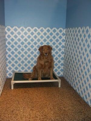 Sadie in one of our small cabanas.