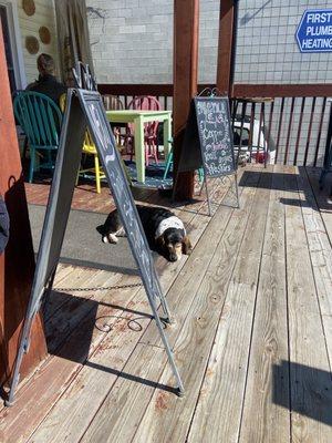 Lupe sleeping on her porch