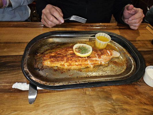 Broiled black drum