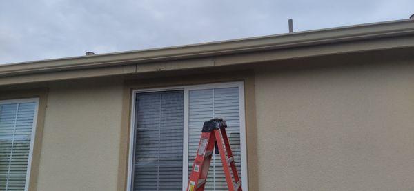 DRY ROT REPAIR AND EXTERIOR PAINTING