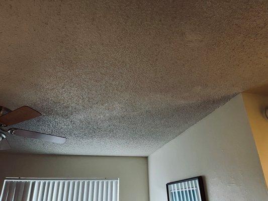 Filthy popcorn ceiling-not painted as they reassured me.