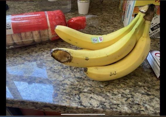 Rat eaten bananas in patient kitchen