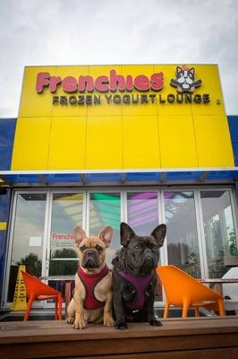 Perfect spot for Frenchies.