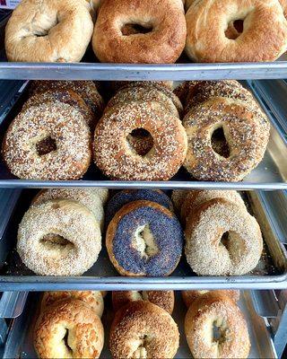 Bagel variety changes daily!