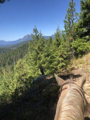 My horse for the day, Pal, near the top of the 1/2 day picnic ride.